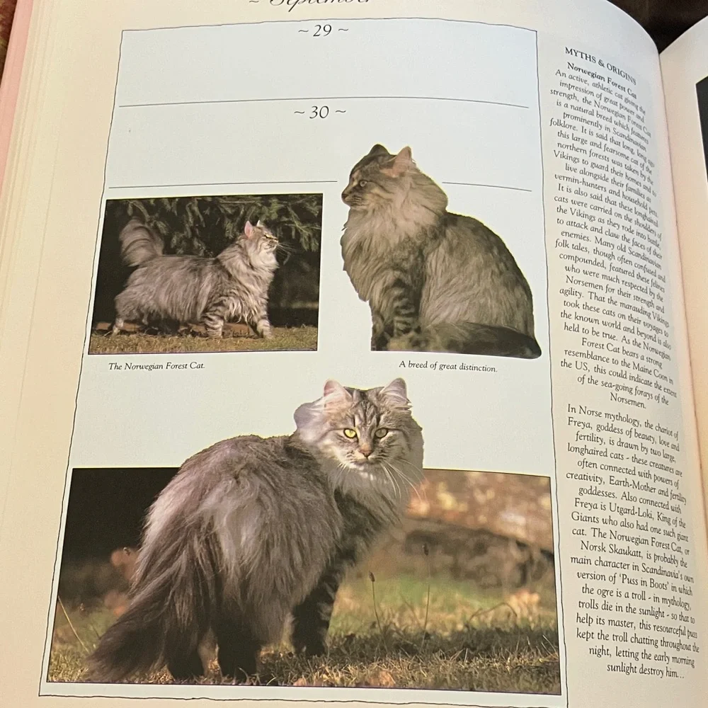 Calendar Desk Book